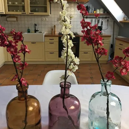 Apartamento Apartament *